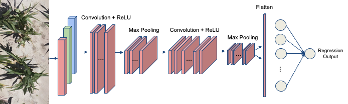 Disease Scoring Image